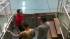 imgWP_20140621_024.jpg