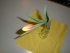 imgP2270018.JPG