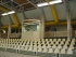 imgP2270051.JPG