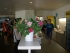 imgP5280010.JPG