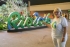 imgIMG_9466.jpg