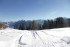 img028.JPG